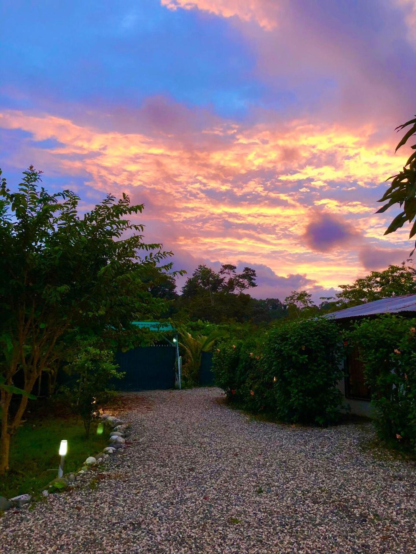 Casa Del Bambu Puerto Jiménez