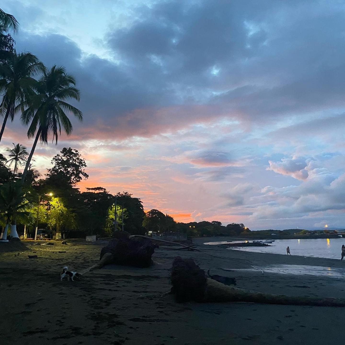 Casa Del Bambu * Puerto Jiménez